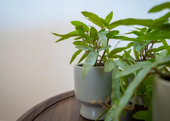 Bright Marina With Peaceful Views #1991 Apartment